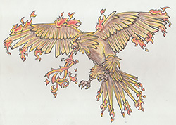description