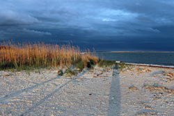 description