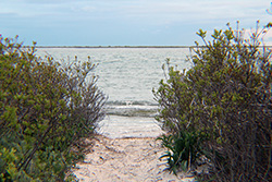 description