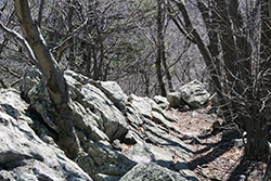 description