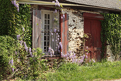 description